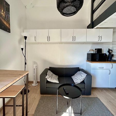Le Duplex Toulousain - Tram Metro - Centre Ville Toulouse Dış mekan fotoğraf