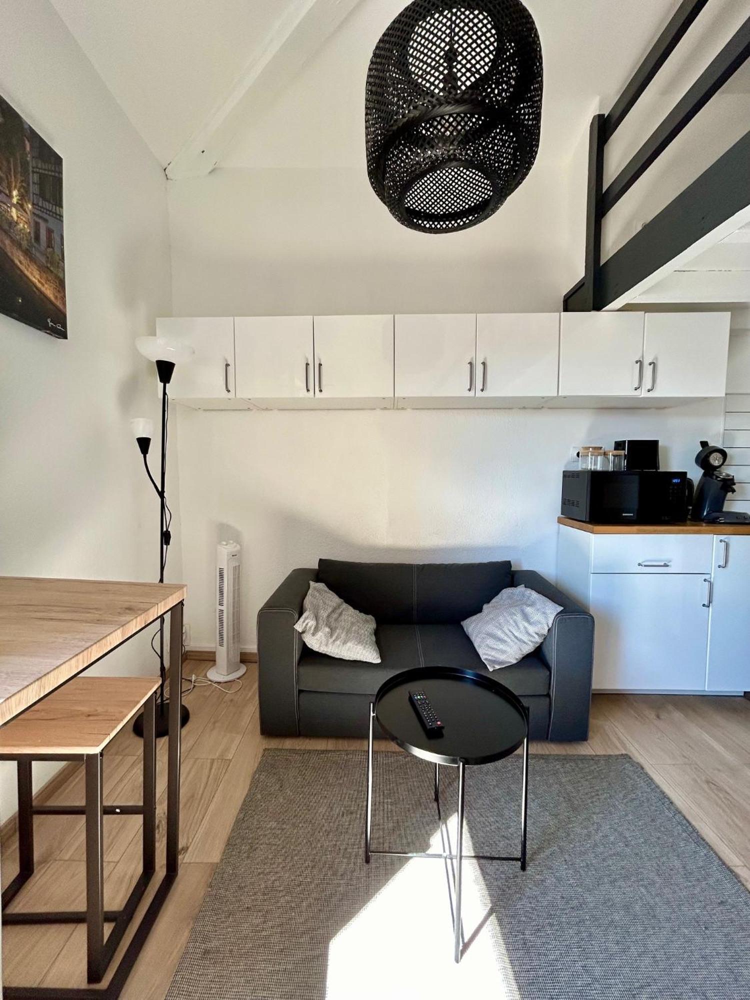 Le Duplex Toulousain - Tram Metro - Centre Ville Toulouse Dış mekan fotoğraf